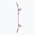 Skateboard clasic Fish Skateboards Beginner Huron 8.0" 4