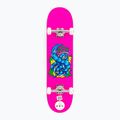 Skateboard clasic Fish Skateboards Beginner Erie 8.0" 3