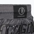 Pantaloni scurți de antrenament Octagon Kickboxing/Muay Thai Legion Future Premium black/grey 5