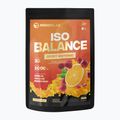 Pudră de băutură izotonică MONDOLAB Balance Bitter Cranberry Punch 100g portocaliu-cranberry MND007