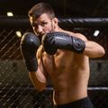 Mănuși de box DBX BUSHIDO 'Raptor' negru 6