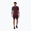 Pantaloni scurți pentru bărbați 4F M290 burgundy