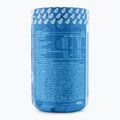 Joint Flex Real Pharm regenerarea articulațiilor 400g mango-maracuja 666701 3