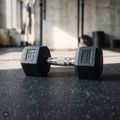 Ganteră cauciucată XTREXO Hex HXD100 10 kg 12