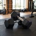Halteră cauciucată XTREXO Hex 12.5 kg 3