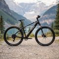 Bicicletă electrică ATTABO E-ALPE 2.0 29" 36V 14,5Ah 504Wh negru 3