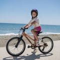 Bicicletă pentru copii ATTABO RASH 20" maro 14
