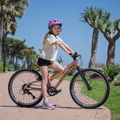 Bicicletă pentru copii ATTABO RASH 24" maro 14
