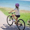 Bicicletă pentru copii ATTABO RASH 24" maro 16