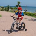 Bicicletă pentru copii ATTABO KNACK 16" argintie 11