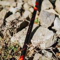 Bețe de trekking KADVA Tengri reglabile roșu 13