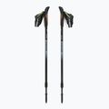 Bețe nordic walking Fizan Smu Active black 5