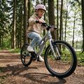 Bicicletă pentru copii ATTABO EASE 20" 9,1 kg silver 7