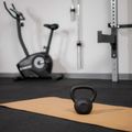Kettelbell din Fontă TREXO 10kg negru 6