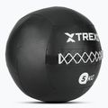 Minge medicinală TREXO Wall Ball 5 kg negru 2
