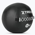 Minge medicinală TREXO Wall Ball 12 kg negru 2
