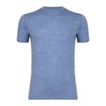 Tricou termoactiv pentru bărbați WOOLCANO Merino 100% TEE0546 blue 4