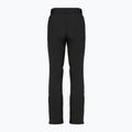 Pantaloni de schi pentru femei DISUMER Alpine Pants WMNS Black 12