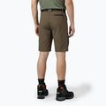 Pantaloni scurți pentru bărbați KADVA Seto brown 2