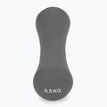 Halteră din neopren XTREXO TX0-B4M007 0,5 kg gri 3