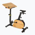 Bicicletă electrică XTREXO EB400-desk black