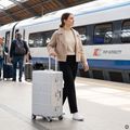 Valiză de călătorie mare Kadva Tigre 96l Silver 16