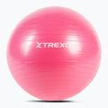 Minge de gimnastică XTREXO TXO-B4Z007-PK 55 cm roz