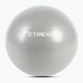 Minge de gimnastică XTREXO TXO-B4Z007-GY 55 cm gri