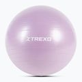 Minge de gimnastică XTREXO TXO-B4Z008-VT 65 cm violet