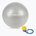 Minge de gimnastică TREXO TXO-B4Z009-GY 75 cm gri 5