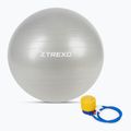 Minge de gimnastică XTREXO TXO-B4Z009-GY 75 cm gri 7
