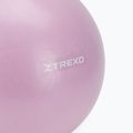 Mini minge de gimnastică TREXO TXO-B4Z011-VT 25 cm violet 2