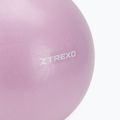 Mini minge de gimnastică XTREXO TXO-B4Z011-VT 25 cm violet 3