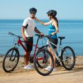 Bicicletă de munte pentru femei  ATTABO ALPE 1.0 17" gri 8