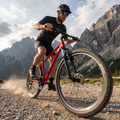 Bicicletă de munte pentru bărbați ATTABO ALPE 1.0 19" roșie 5