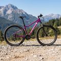 Bicicletă de munte pentru femei  ATTABO ALPE 3.0 17" violet 3