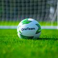 Minge de fotbal  OneTeam MS Basic verde mărimea 4 5