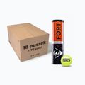 Mingi de tenis Dunlop Fort Clay Court 4B 18 x 4 buc. galben 601318