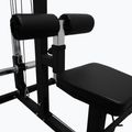 Ridicarea părții superioare și inferioare a corpului Bauer Fitness CFA-198 3