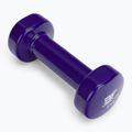 Haltere de vinil Bauer Fitness 2 kg AC-1403 2