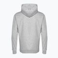 Bluză pentru bărbați PROSTO Hoodie Abox gray 5