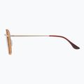 Ochelari de soare GOG Elektra matt brown demi/gold 3
