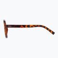Ochelari de soare GOG Ranger brown demi/green 3