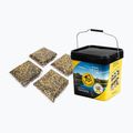 Carp Target amestec de cereale Maize-Tiger Nut-Congo-Rubella 25% + găleată 17 l