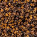 Carp Target amestec de cereale Maize-Tiger Nut-Congo-Rubella 25% + găleată 17 l 3