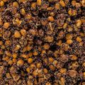 Cereale mixte Carp Target Kukurydza-Konopia-Rzepik 33% + Wiadro 10 l 5