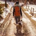 Rucsac de turism Alpinus Teno 24 l orange 3