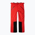 Pantaloni de schi pentru bărbați 4F Fnk M0902 red 12