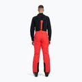 Pantaloni de schi pentru bărbați 4F Fnk M0928 red 3
