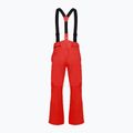 Pantaloni de schi pentru bărbați 4F Fnk M1086 red 7